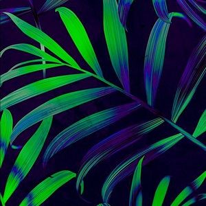 Welcome to the JDA Closet